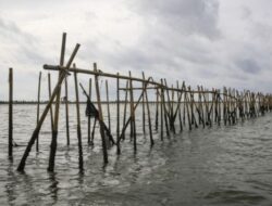 Bareskrim dan Kejagung Beda Pendapat Soal Kasus Pagar Laut Tangerang