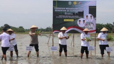 Kapolresta Deli Serdang Hadiri Gerakan Tanam Padi Serentak