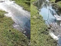 Pembuangan Limbah PKS PTPN 4 Bah Jambi Langgar UU Lingkungan Hidup