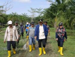 Tinjau Lokasi Banjir, Walikota Tanjungbalai Tekankan Pentingnya Kerjasama