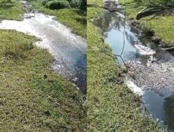 Pembuangan Limbah PTPN 4 Bah Jambi Berpotensi Rugikan Produksi TBS