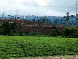 Pemberian Tanah Eks HGU Tetap Mengacu Pada Alas Hak yang Sah
