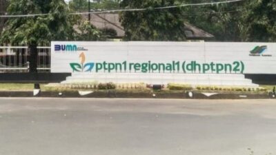 PTPN I Regional I Bakal Tindaklanjuti Bangunan Milik PT Musim Mas di Lahan HGU