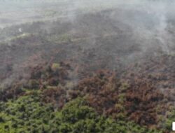 Jika Tak Siapkan Alat Penanganan Karhutla, Pengusaha Sawit Terancam Dipidana