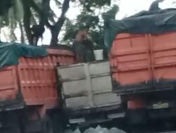 Truck Vendor “Sunat” Inti Sawit Milik PTPN IV