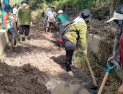 Dinas Pertanian Padangsidimpuan Bersama Petani Bersihkan Saluran Irigasi