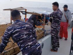 Kapal Angkut Ayam Ras Filipina dan Miras Ilegal Diamankan