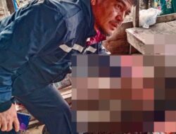 Tewaskan 5 Orang, Polisi Buru Pembunuh Sadis di Aceh Tenggara