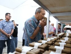 Cerutu Tembakau Deli Siap Bertarung di Pasar Global