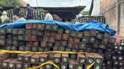 Direktur PT BCM Terancam 15 Tahun Penjara Akibat Jual Kayu Ilegal