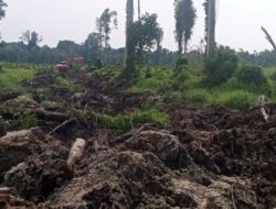 Jurnalis Dihalangi Liput Lahan yang Diklaim Milik PT ALIS di Aceh