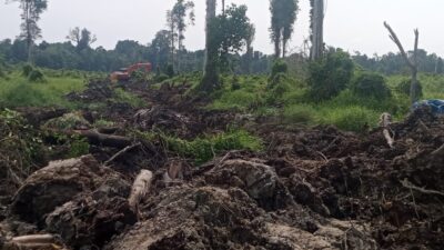 Jurnalis Dihalangi Liput Lahan yang Diklaim Milik PT ALIS di Aceh