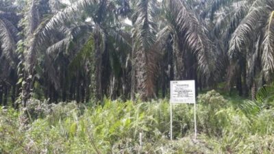 KPK Dalami Kepemilikan Lahan Sawit Nurhadi