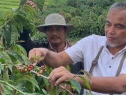 PTPN IV Fokus Tingkatkan Produktivitas, Kualitas Operasional dan Efisiensi Biaya