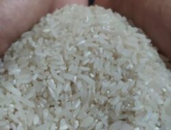 Pemerintah Didesak Usut Tuntas Kasus Beras Oplosan