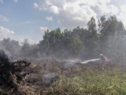 Picu Karhutla di Riau, Empat Perusahaan Sawit Disegel