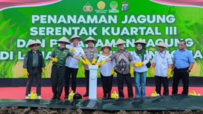 Tanam Jagung Serentak Kuartal III, Polda Sumut Targetkan 24 Ribu Ton