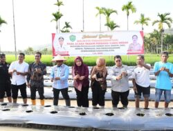 Walikota Padangsidimpuan Hadiri Tanam Perdana Cabai Merah