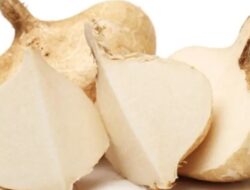 Bengkoang Baik untuk Kesehatan Jantung dan Pencernaan