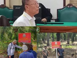 Divonis 10 Tahun Kasus Penguasaan Hutan, Tapi Terdakwa Tak Ditahan