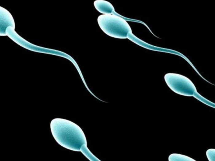 Mitos dan Fakta Soal Sperma Pria