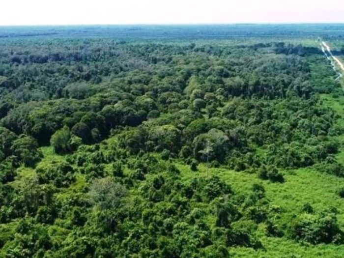 Pemilik HGU Diwajibkan Serahkan 20 Persen Tanah untuk Petani Plasma
