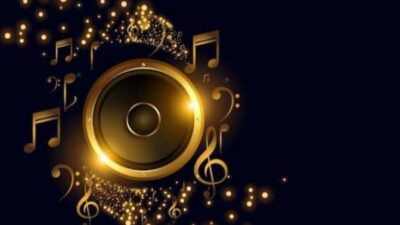 Pengusaha Mal Angkat Bicara Soal Royalti Musik