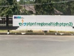 Polemik Eks HGU, SEVP Aset PTPN I Regional 1 “Jadi Penghalang” Pelepasan Lahan