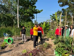 Walikota Tanjungbalai Tinjau Lokasi “Aku Hatinya PKK”