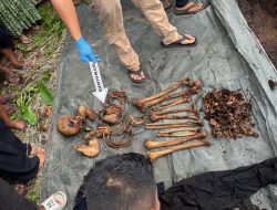 Warga Sergai Digegerkan Penemuan Tengkorak Manusia di Pohon Aren