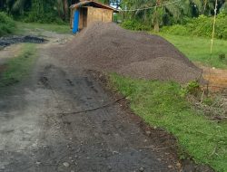 Berada Dekat Kantor Polisi, Gudang Penampungan Inti dan Cangkang Sawit di Gebang Tanpa Tindakan