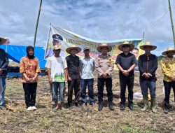 BUMDES Makmur Bersama Launching Program Ketapang Budidaya Jagung