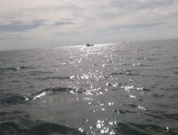 Nelayan Tanjung Pura Menjerit, Pukat Trol dan Grandong “Sapu Bersih” Hasil Laut