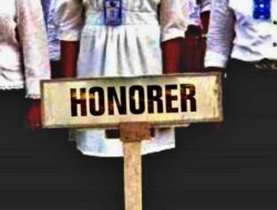 Ratusan Honorer Pidie Jaya Kecewa Tak Masuk Skema Pengangkatan PPPK Paruh Waktu