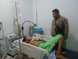 Siswa SMP di Pangkalan Brandan Diserang Monyet Ekor Panjang