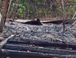 Warga Tanjung Kapai Bakar Gubuk Diduga Sarang Maksiat