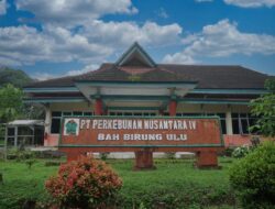 Produksi PTPN IV Regional II Kebun Bah Birung Ulu Lampaui Target, Rendemen Naik Signifikan