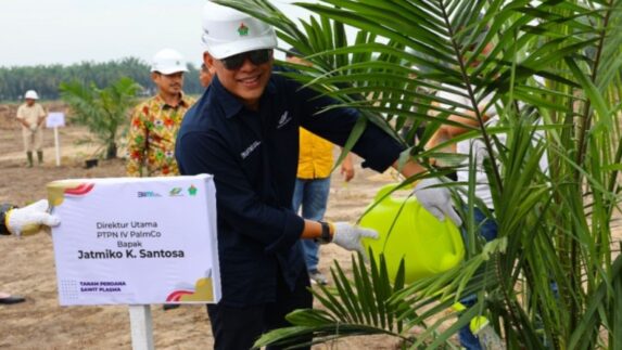 PTPN IV PalmCo Dorong Peremajaan Sawit dan Integrasi Tanaman Pangan