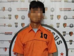 Polres Pelabuhan Belawan Ringkus Pelaku Penganiayaan Adik Kandung