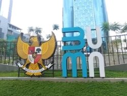 Dipangkas Jadi 200 Entitas, 800 BUMN Bakal “Disuntik Mati”