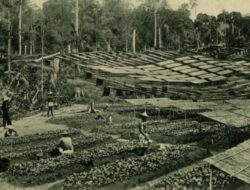 Dorong Optimalisasi Aset, PTPN I Adaptif Hadapi Dinamika Perkembangan Kota Medan