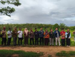 Infrastruktur untuk Klaster Produksi Daging dan Telur Nasional PTPN I Paling Mapan