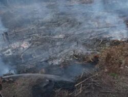 Kebakaran Hutan Terus Meluas, Kampar Diselimuti Kabut Asap