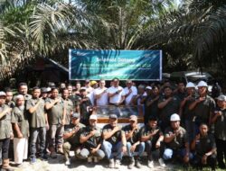 Koperasi Makarti Jaya Binaan PTPN IV PalmCo Raih Sertifikasi RSPO