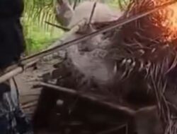 Langkat Punya Cerita, “Ras Terkuat di Bumi” Bakar Barak Narkoba