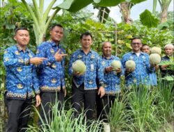 Lapas Kelas IIB TBA Panen Buah Melon