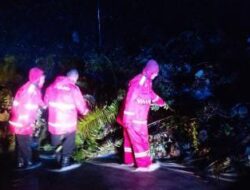 Polres Humbahas Bergerak Cepat Tangani Longsor di Pakkat