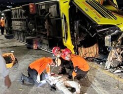 Bus Cahaya Trans Kecelakaan dan Tewaskan 16 Orang, Ada Fakta Mengejutkan