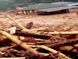 APH Diminta Periksa Pihak Pemberi Izin Penebangan Hutan Terkait Bencana Sumatra