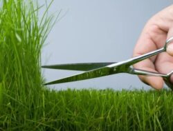 Ketahui Hukum Suami Cukur “Rumput” Milik Istri Maupun Sebaliknya